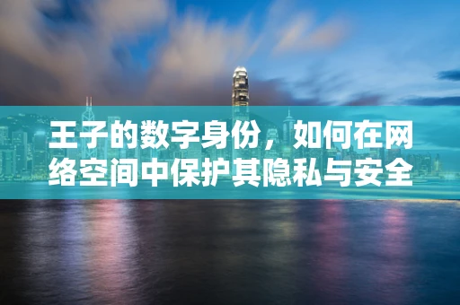 王子的数字身份，如何在网络空间中保护其隐私与安全？