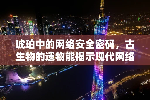 琥珀中的网络安全密码，古生物的遗物能揭示现代网络安全的秘密吗？