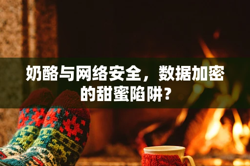 奶酪与网络安全，数据加密的甜蜜陷阱？