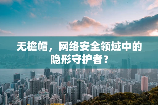 无檐帽，网络安全领域中的隐形守护者？