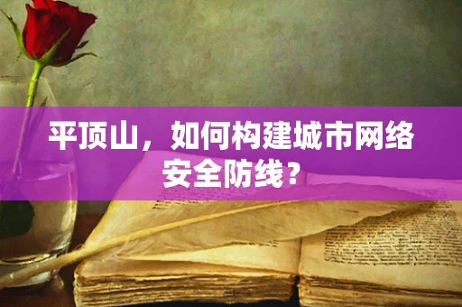 平顶山，如何构建城市网络安全防线？