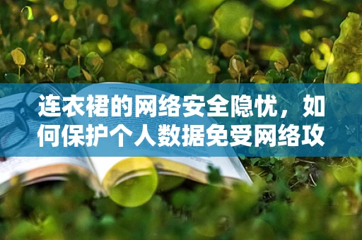 连衣裙的网络安全隐忧，如何保护个人数据免受网络攻击？