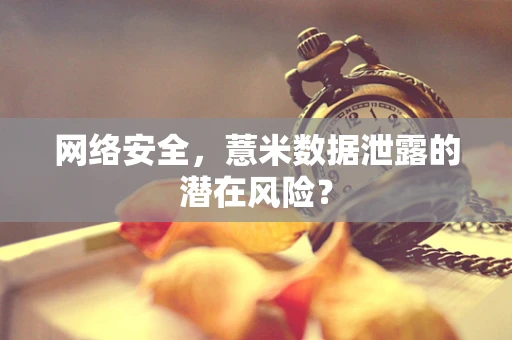 网络安全，薏米数据泄露的潜在风险？