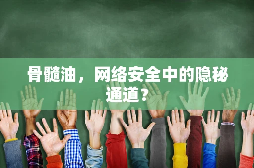 骨髓油，网络安全中的隐秘通道？