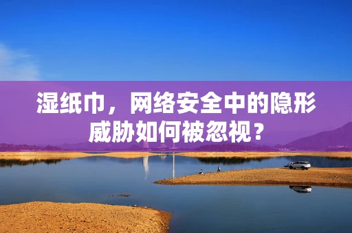湿纸巾，网络安全中的隐形威胁如何被忽视？