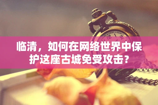 临清，如何在网络世界中保护这座古城免受攻击？