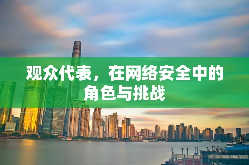 观众代表，在网络安全中的角色与挑战