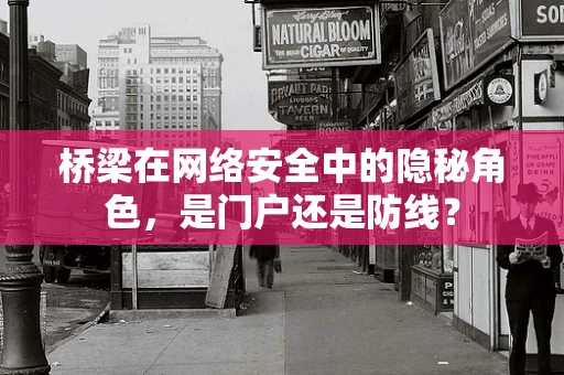 桥梁在网络安全中的隐秘角色，是门户还是防线？