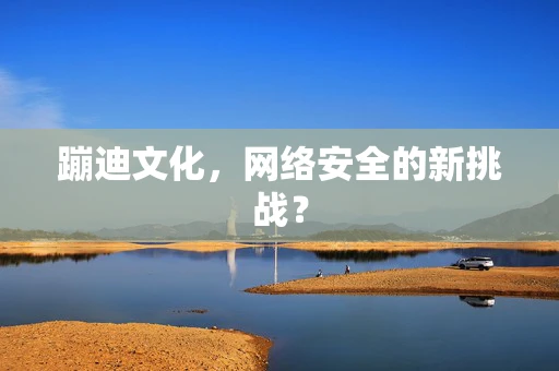 蹦迪文化，网络安全的新挑战？