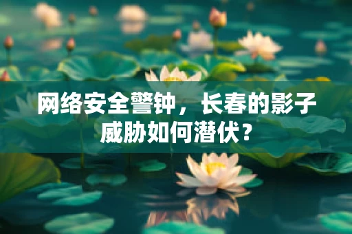 网络安全警钟，长春的影子威胁如何潜伏？