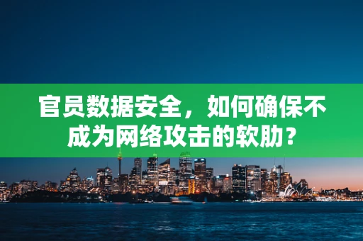 官员数据安全，如何确保不成为网络攻击的软肋？