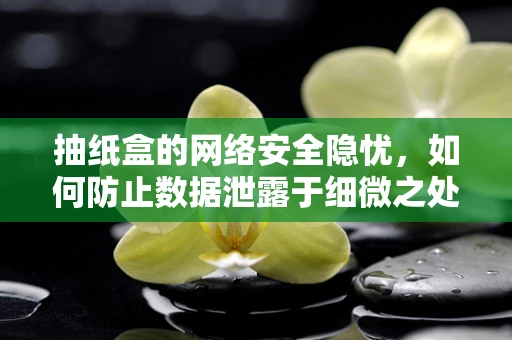 抽纸盒的网络安全隐忧，如何防止数据泄露于细微之处？
