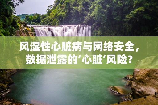风湿性心脏病与网络安全，数据泄露的‘心脏’风险？