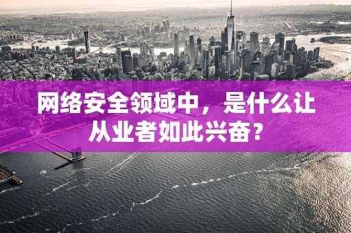 网络安全领域中，是什么让从业者如此兴奋？