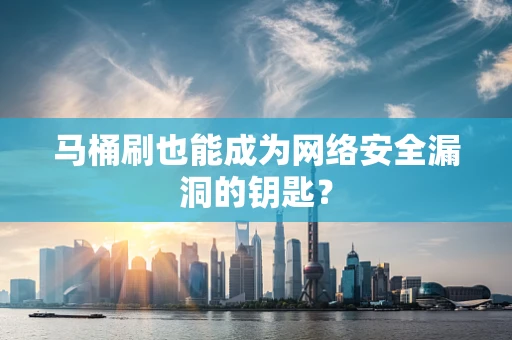马桶刷也能成为网络安全漏洞的钥匙？