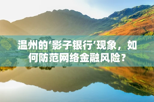 温州的‘影子银行’现象，如何防范网络金融风险？