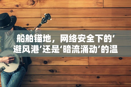 船舶锚地，网络安全下的‘避风港’还是‘暗流涌动’的温床？