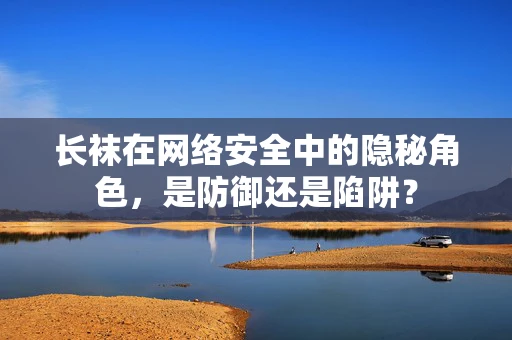长袜在网络安全中的隐秘角色，是防御还是陷阱？