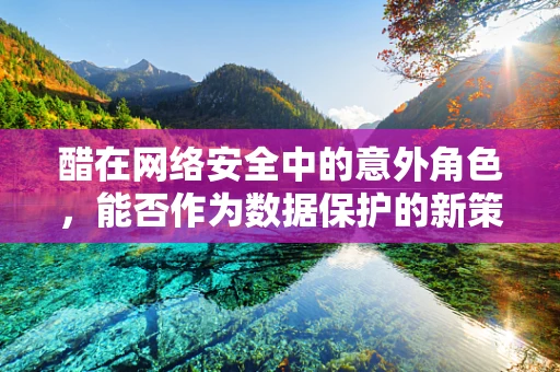 醋在网络安全中的意外角色，能否作为数据保护的新策略？