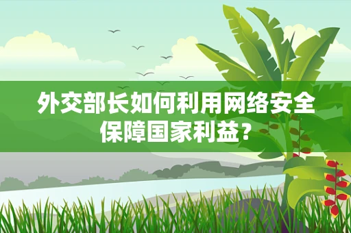 外交部长如何利用网络安全保障国家利益？