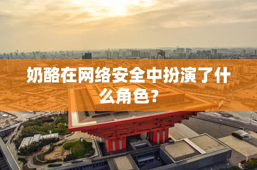 奶酪在网络安全中扮演了什么角色？