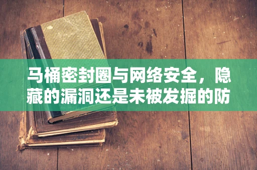 马桶密封圈与网络安全，隐藏的漏洞还是未被发掘的防御点？
