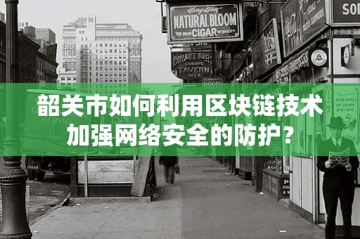 韶关市如何利用区块链技术加强网络安全的防护？