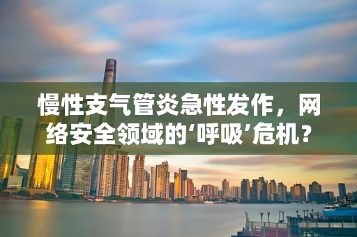 慢性支气管炎急性发作，网络安全领域的‘呼吸’危机？