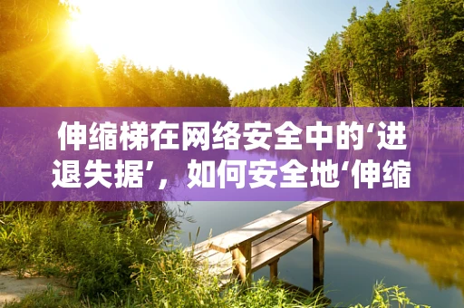 伸缩梯在网络安全中的‘进退失据’，如何安全地‘伸缩’？