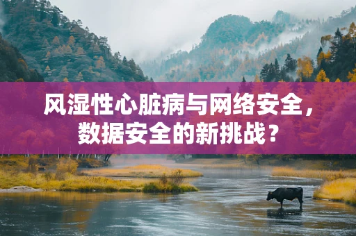 风湿性心脏病与网络安全，数据安全的新挑战？