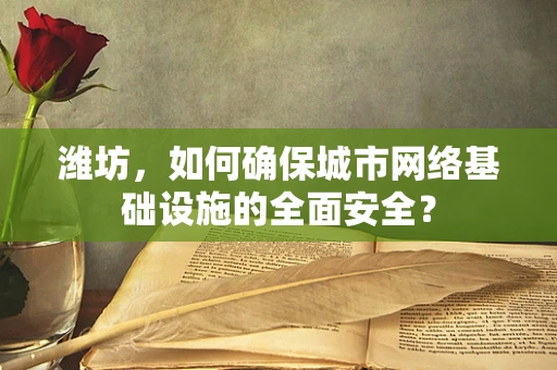 潍坊，如何确保城市网络基础设施的全面安全？