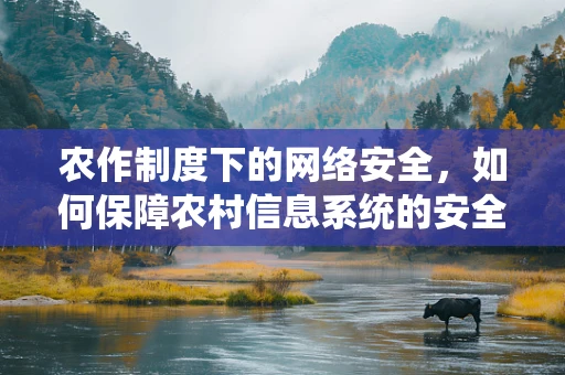 农作制度下的网络安全，如何保障农村信息系统的安全？