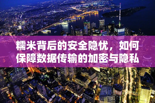 糯米背后的安全隐忧，如何保障数据传输的加密与隐私？