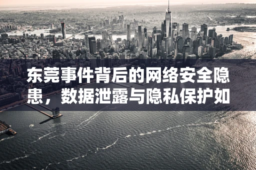 东莞事件背后的网络安全隐患，数据泄露与隐私保护如何平衡？