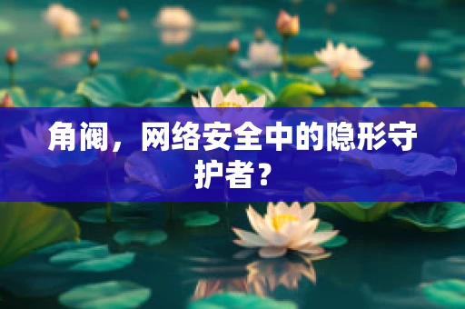 角阀，网络安全中的隐形守护者？