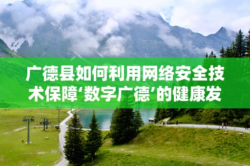 广德县如何利用网络安全技术保障‘数字广德’的健康发展？