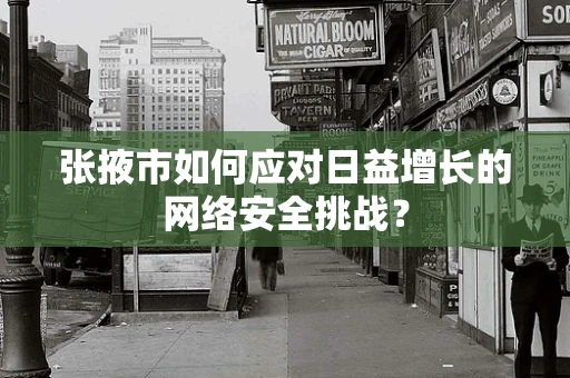 张掖市如何应对日益增长的网络安全挑战？