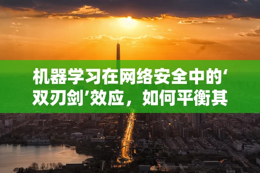 机器学习在网络安全中的‘双刃剑’效应，如何平衡其优势与潜在风险？