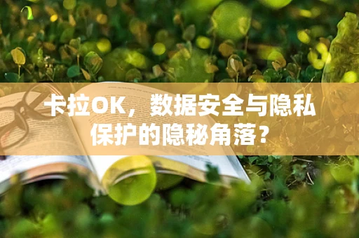 卡拉OK，数据安全与隐私保护的隐秘角落？