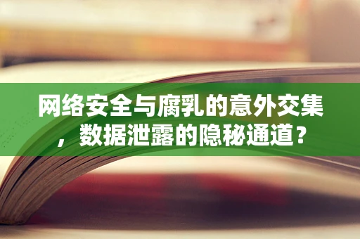 网络安全与腐乳的意外交集，数据泄露的隐秘通道？