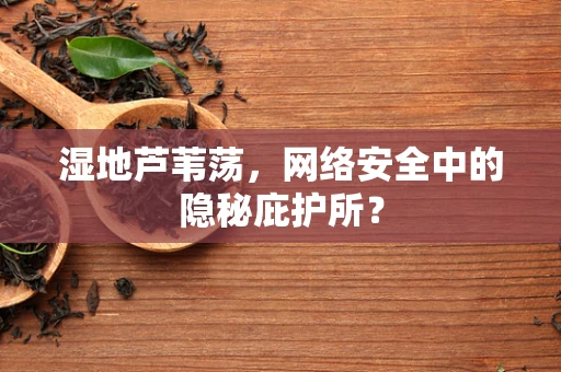 湿地芦苇荡，网络安全中的隐秘庇护所？