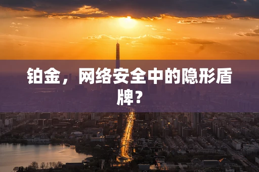 铂金，网络安全中的隐形盾牌？