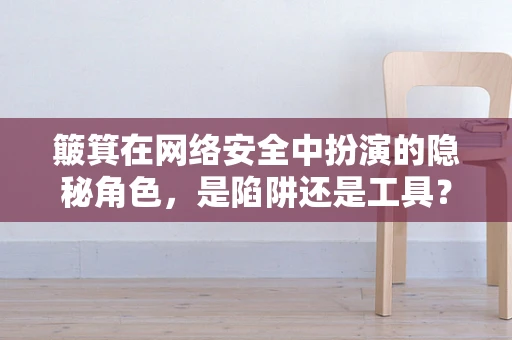 簸箕在网络安全中扮演的隐秘角色，是陷阱还是工具？