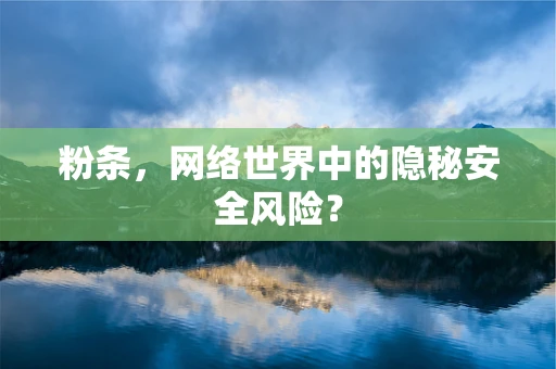 粉条，网络世界中的隐秘安全风险？