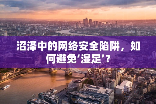 沼泽中的网络安全陷阱，如何避免‘湿足’？