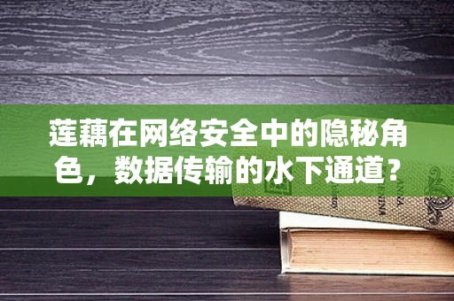 莲藕在网络安全中的隐秘角色，数据传输的水下通道？