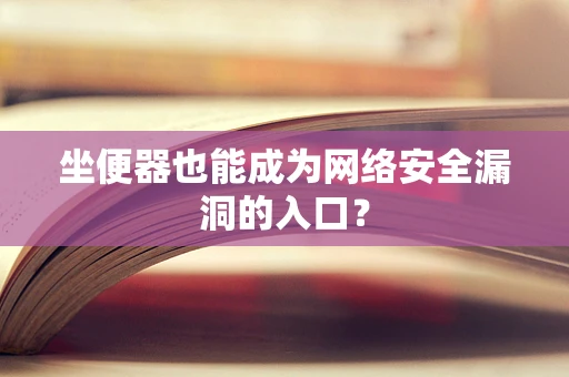 坐便器也能成为网络安全漏洞的入口？