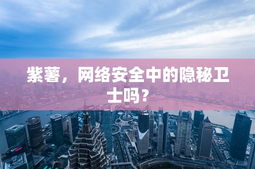 紫薯，网络安全中的隐秘卫士吗？