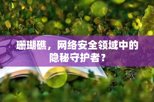 珊瑚礁，网络安全领域中的隐秘守护者？