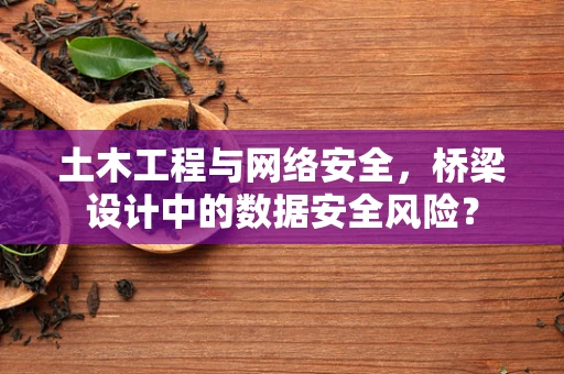 土木工程与网络安全，桥梁设计中的数据安全风险？